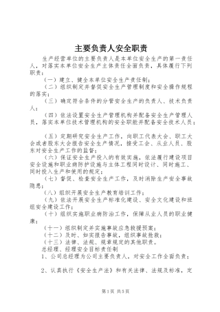 主要负责人安全职责要求
