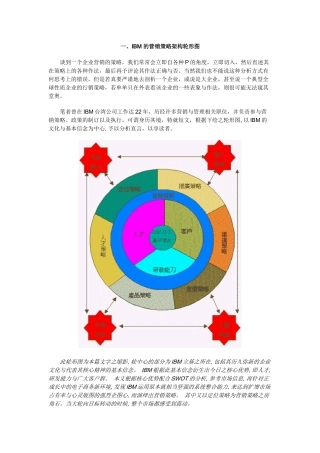 IBM的营销策略纲要