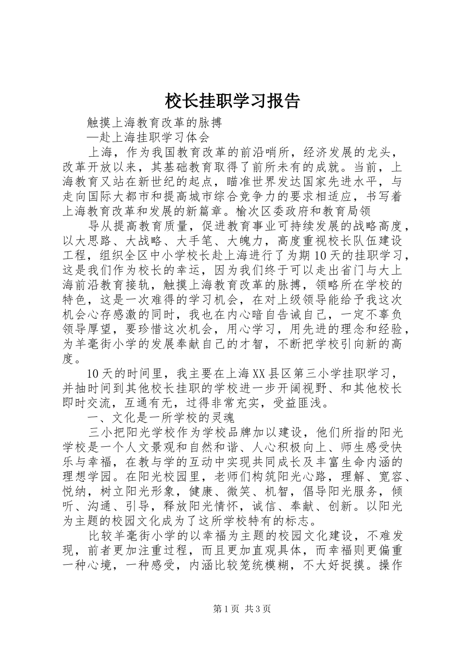校长挂职学习报告 _第1页