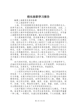 校长挂职学习报告 
