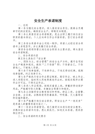 安全生产承诺规章制度 (2)