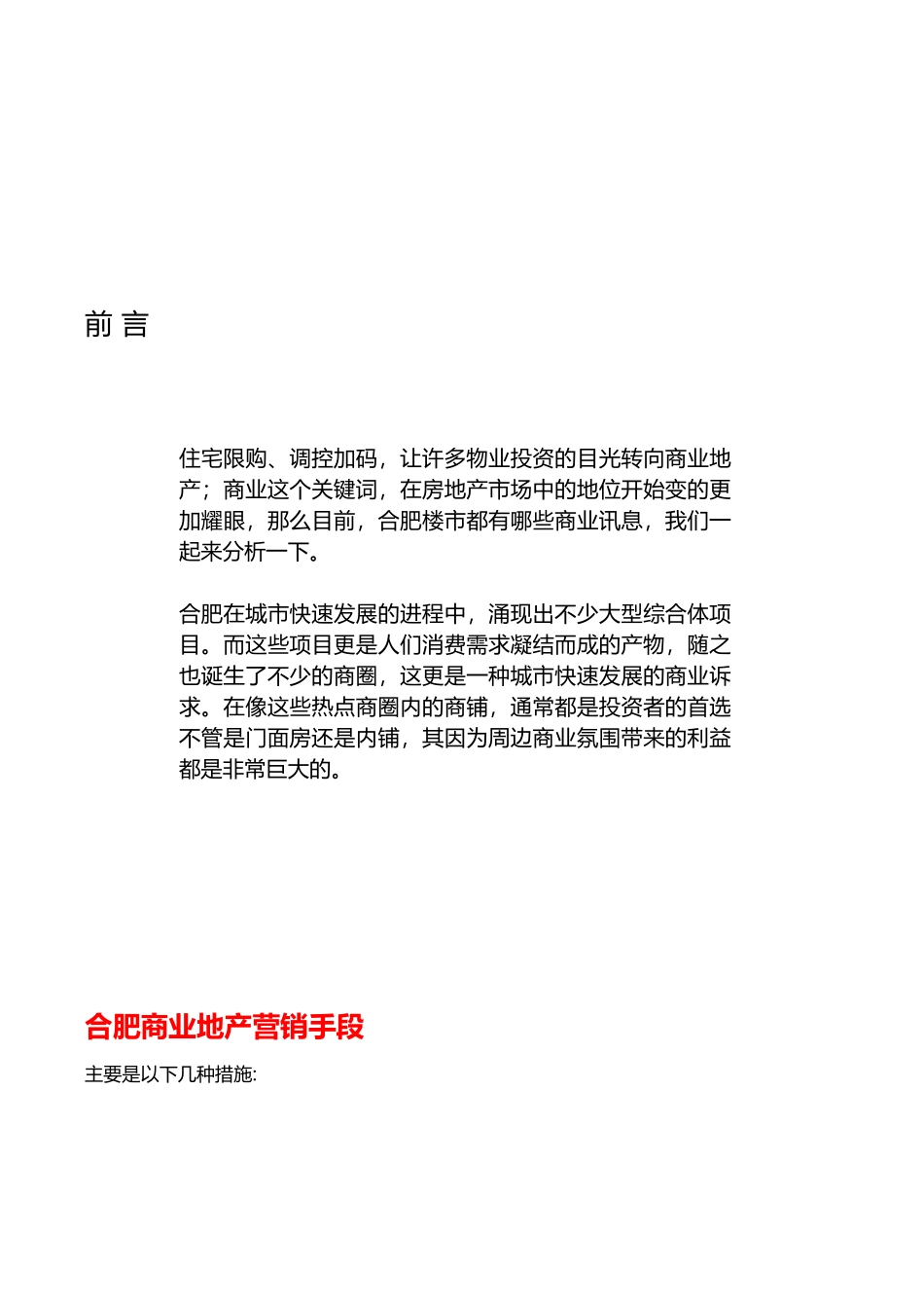 合肥商业地产营销与广告分析报告书_第2页