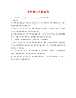 《安全管理文档》之安全责任人任命书 
