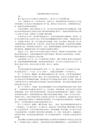 市场营销试用期工作总结范文 