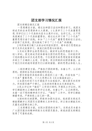团支部学习情况汇报 