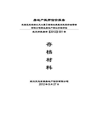 房地产抵押报告2