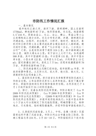 市防汛工作情况汇报1 