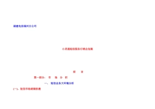小灵通短信服务行销策划案