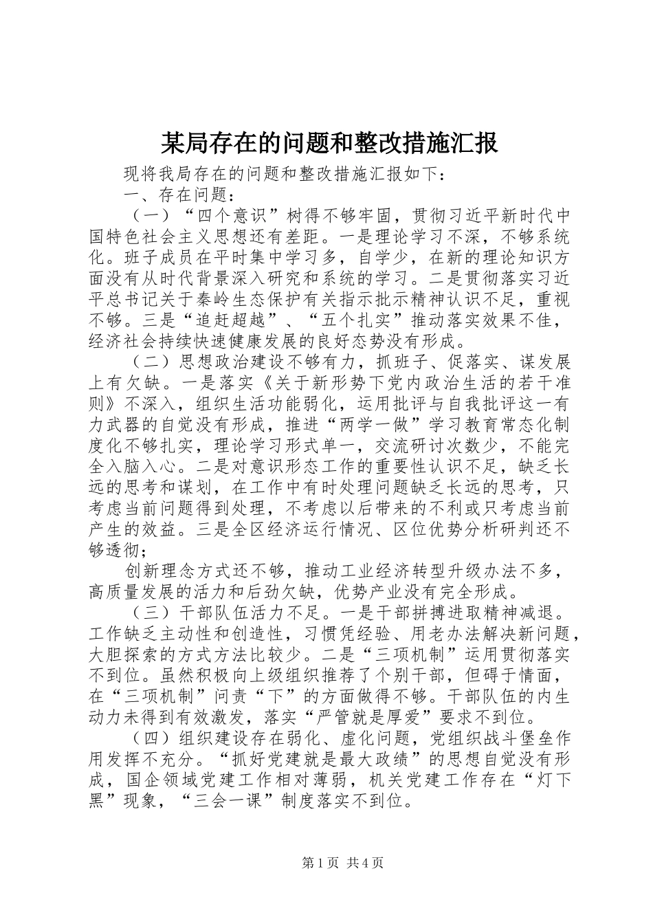 某局存在的问题和整改措施汇报 _第1页