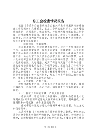 总工会检查情况报告 