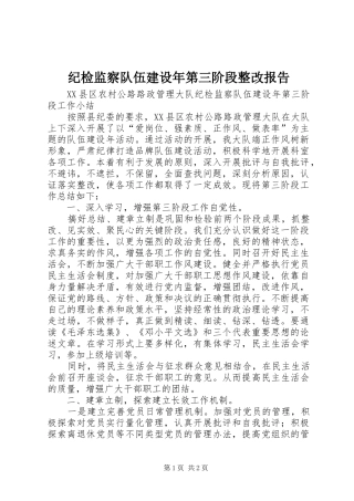 纪检监察队伍建设年第三阶段整改报告 