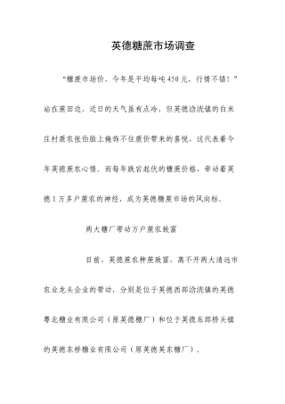 广东英德糖蔗市场调查