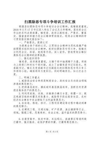 扫黑除恶专项斗争培训工作汇报 
