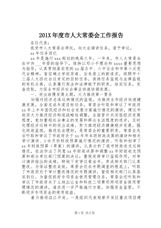 201X年度市人大常委会工作报告