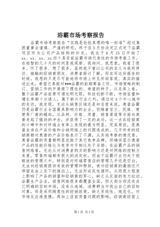 浴霸市场考察报告 