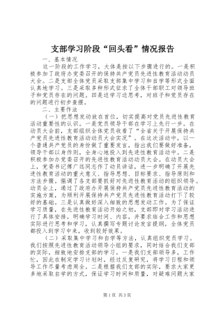 支部学习阶段“回头看”情况报告 