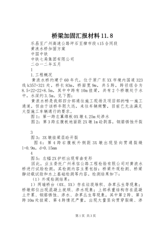 桥梁加固汇报材料11.8 