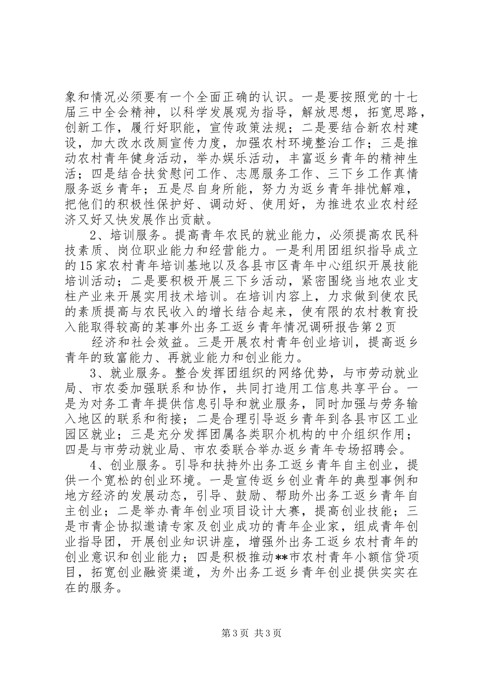 某事外出务工返乡青年情况调研报告 _第3页
