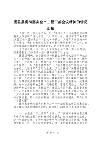 团县委贯彻落实全市三级干部会议精神的情况汇报 