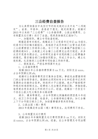 三公经费自查报告 