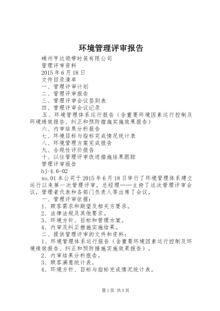 环境管理评审报告 