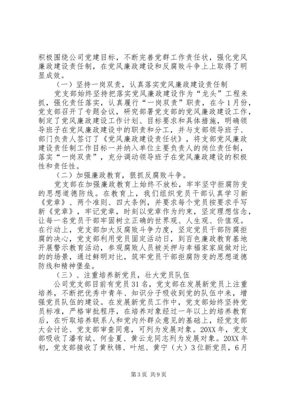 201X年公司内部巡察专题报告_第3页