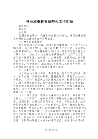 林业站森林资源防火工作汇报 