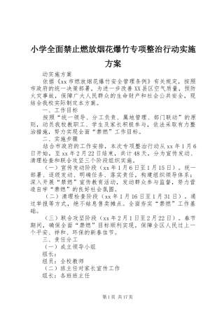 小学全面禁止燃放烟花爆竹专项整治行动实施方案