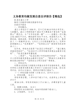 义务教育均衡发展自查自评报告【精选】 