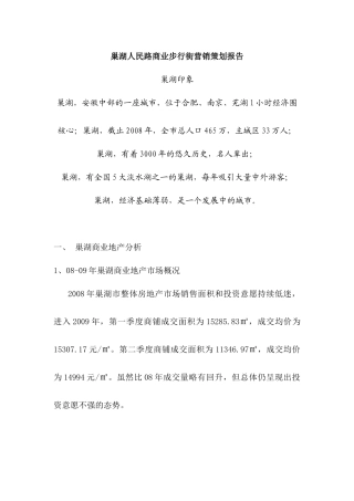 巢湖人民路商业步行街营销策划报告