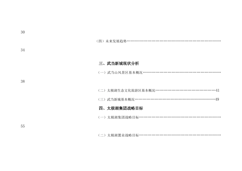 太极湖项目管理及市场调研定位报告_第3页