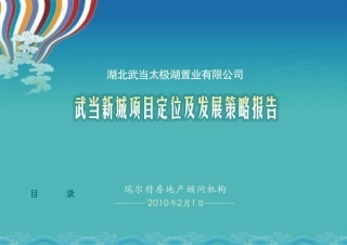 太极湖项目管理及市场调研定位报告