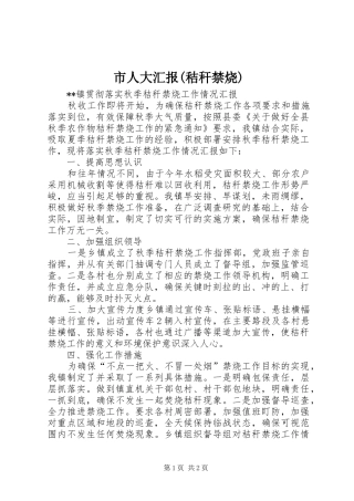 市人大汇报(秸秆禁烧) 