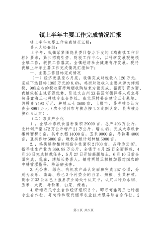 镇上半年主要工作完成情况汇报 