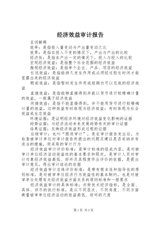 经济效益审计报告 