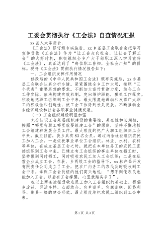 工委会贯彻执行《工会法》自查情况汇报 