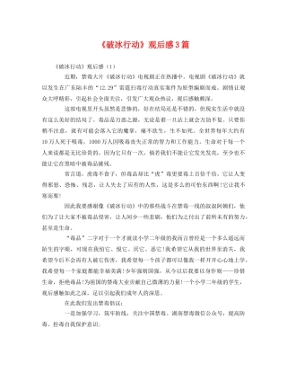 《破冰行动》观后感3篇 