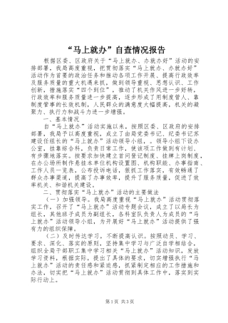 “马上就办”自查情况报告 
