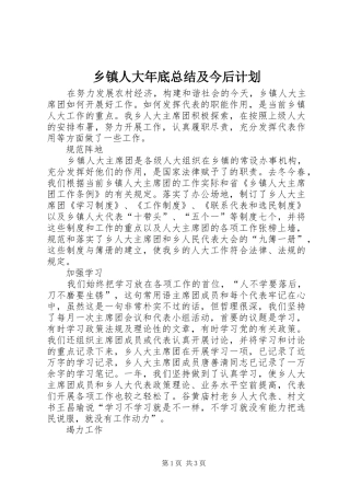 乡镇人大年底总结及今后计划