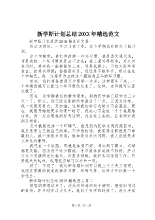 新学斯计划总结20XX年精选范文