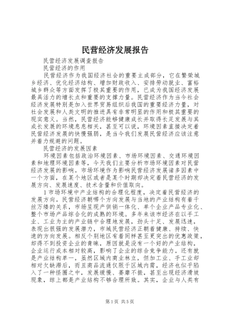 民营经济发展报告 
