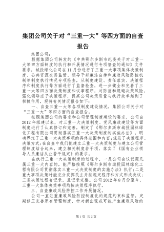 集团公司关于对“三重一大”等四方面的自查报告 