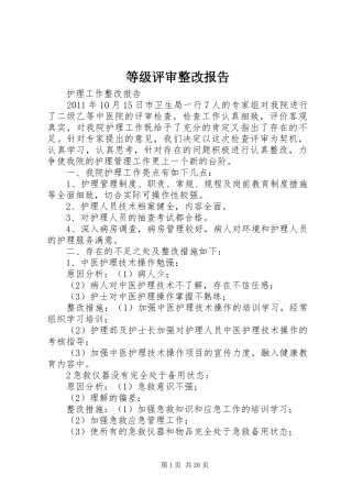 等级评审整改报告 
