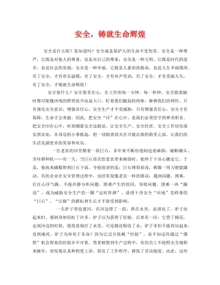 《安全管理文档》之安全，铸就生命辉煌 