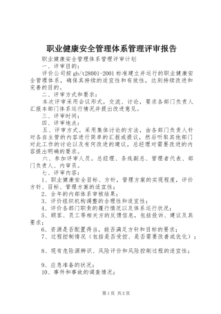 职业健康安全管理体系管理评审报告 