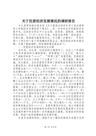 关于民营经济发展情况的调研报告 
