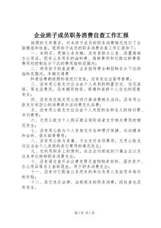 企业班子成员职务消费自查工作汇报 