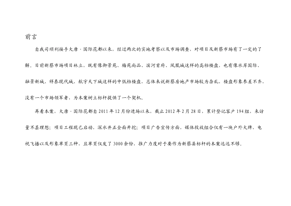 国际花都营销执行整合方案_第2页