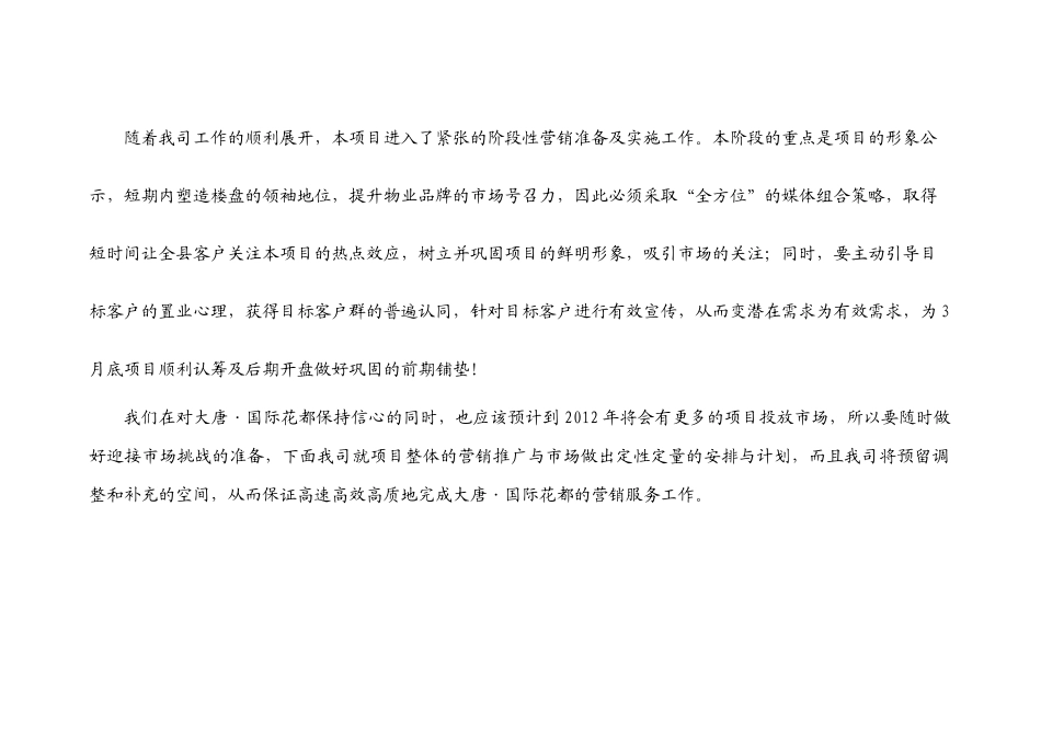 国际花都营销执行整合方案_第3页