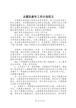 志愿队新年工作计划范文